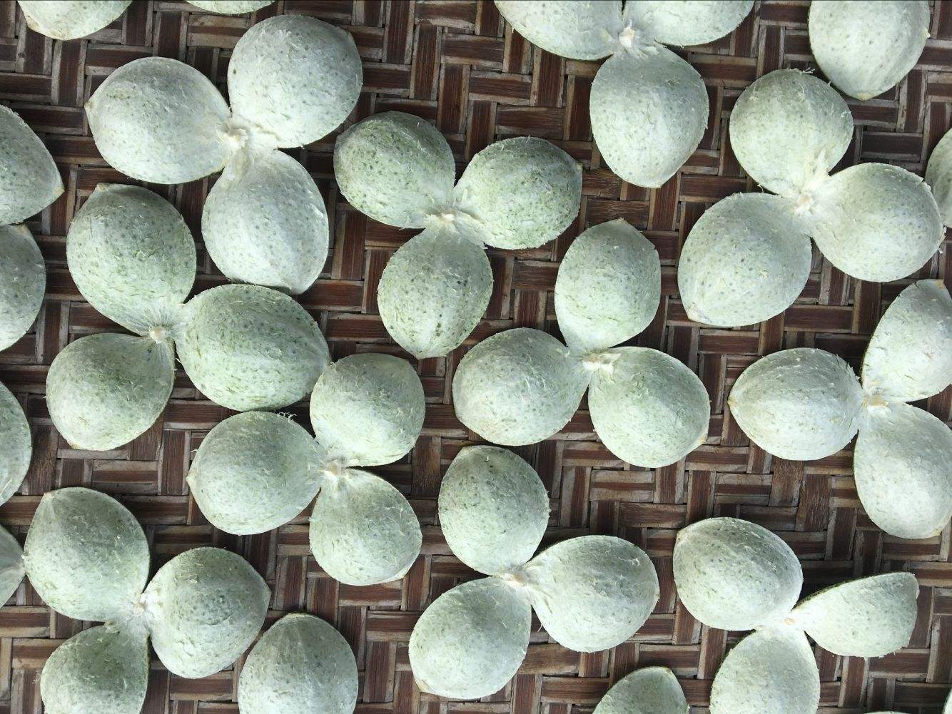 新会陈皮厂家 新会陈皮厂家