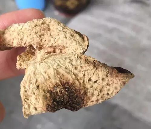 新会陈皮厂家 新会陈皮厂家