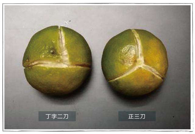 新会陈皮厂家 新会陈皮厂家