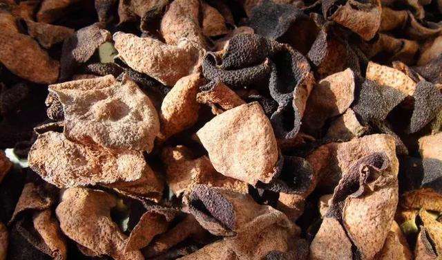 新会陈皮厂家 新会陈皮厂家