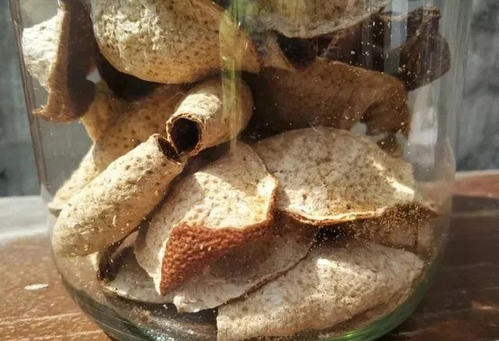 新会陈皮厂家 新会陈皮厂家